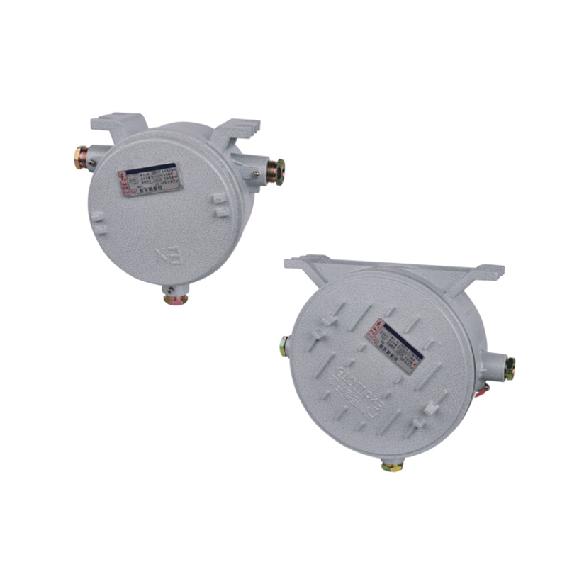 CBZ53系列防爆镇流器（IIC tD）